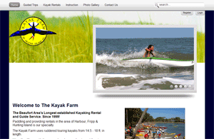 Libaire Antigues and Interior Design Web Screen Shot